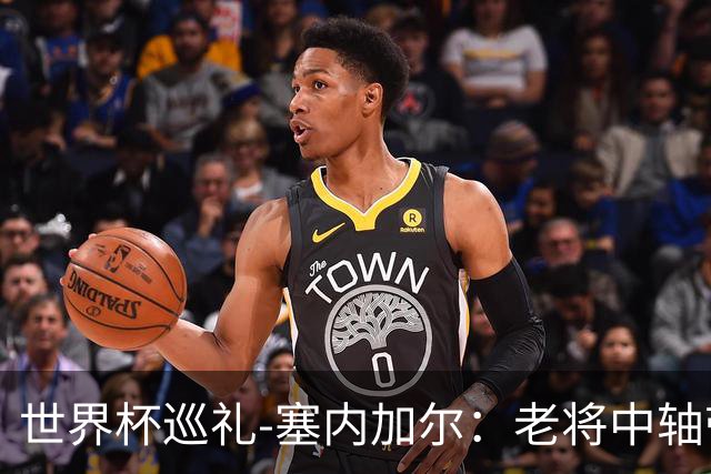 世界杯巡礼-塞内加尔：老将中轴带来安全感，非洲顶流前景可期！